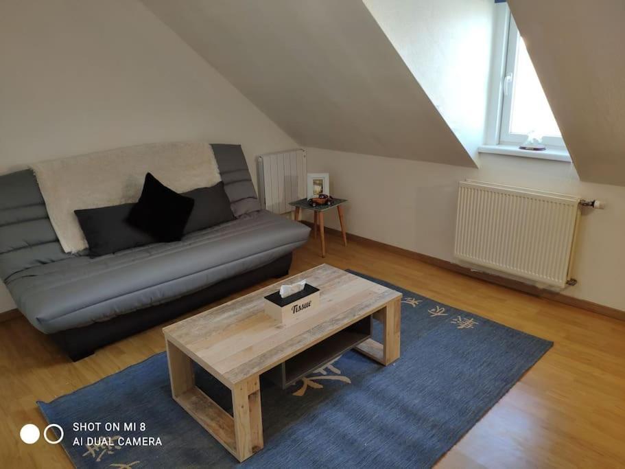 Joli Appartement Avec Place De Parking Prive Colmar Luaran gambar