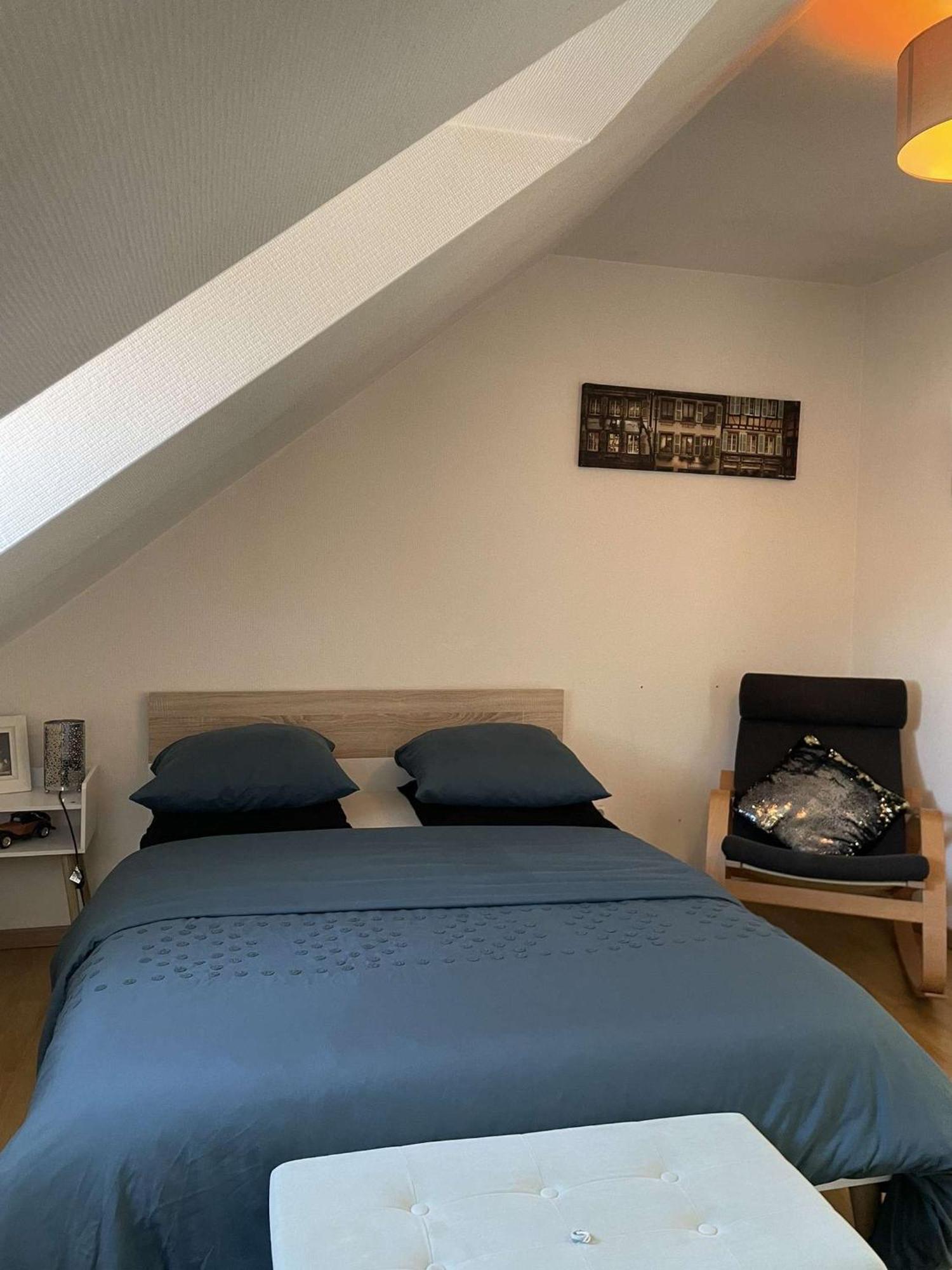 Joli Appartement Avec Place De Parking Prive Colmar Luaran gambar